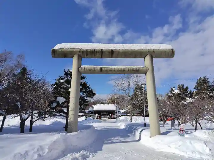 札幌護國神社の鳥居
