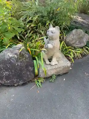 御誕生寺（猫寺）の狛犬