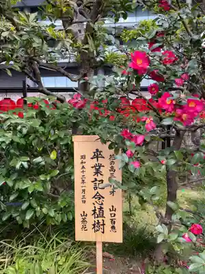 豊川稲荷東京別院(東京都)