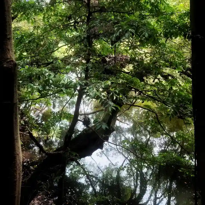 南宮稲荷大明神の自然