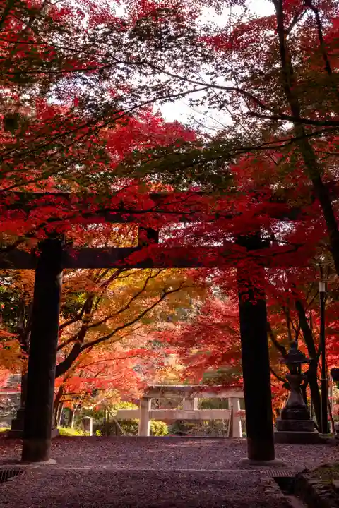 大原野神社(京都府)
