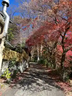 阿智神社前宮(長野県)