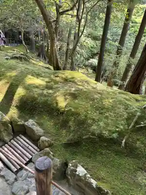 慈照寺（慈照禅寺・銀閣寺）(京都府)