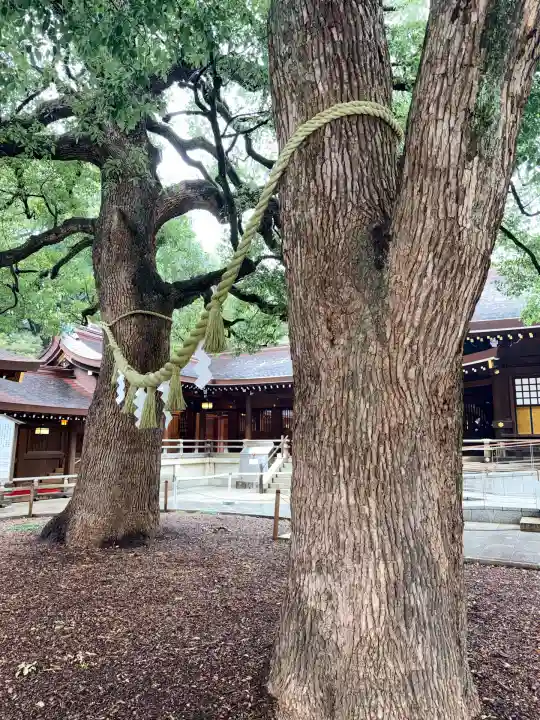 明治神宮(東京都)