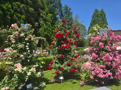 霊山寺(奈良県)