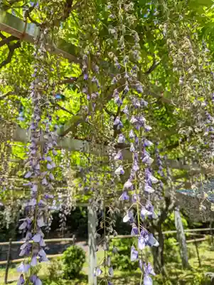 三大神社(滋賀県)