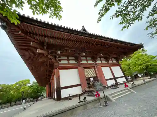 東寺（教王護国寺）(京都府)