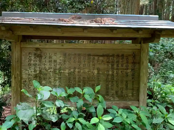 白山寺(福島県)