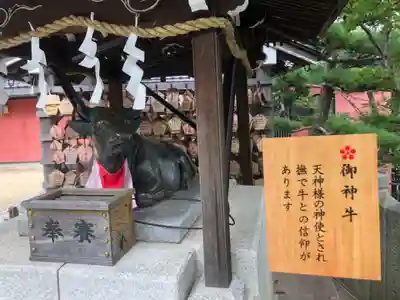 北野天満神社の狛犬