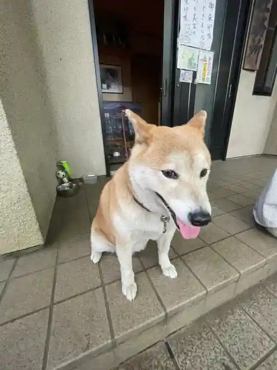 笠䅣稲荷神社(神奈川県)