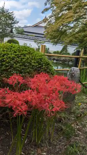 真正極楽寺（真如堂）(京都府)