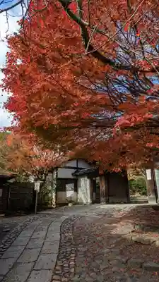 龍安寺(京都府)