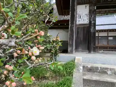 玉泉寺(埼玉県)