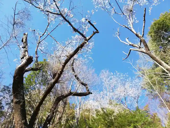 八幡神社(福島県)