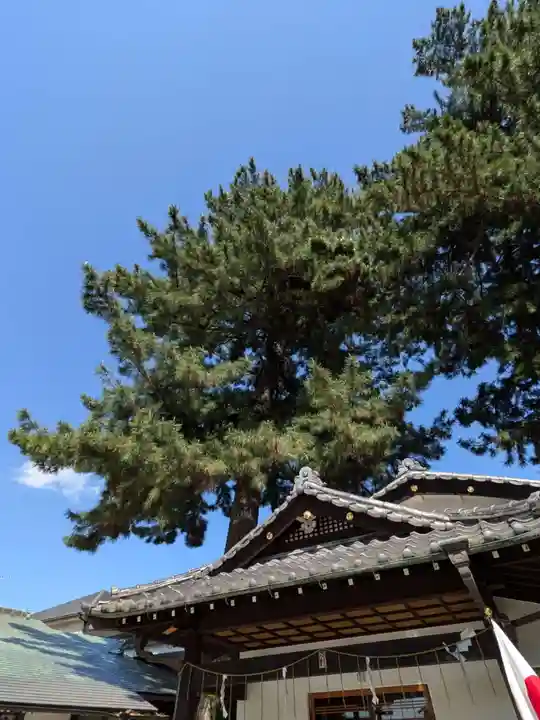 中野沼袋氷川神社(東京都)