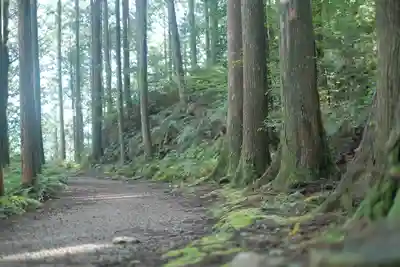 熊野本宮大社の周辺