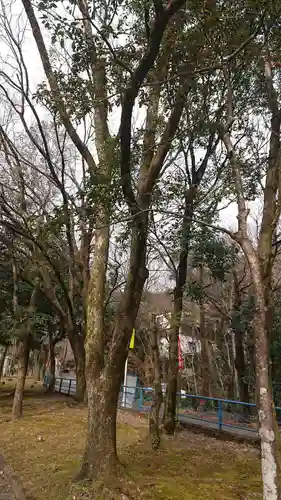 八幡神社の周辺