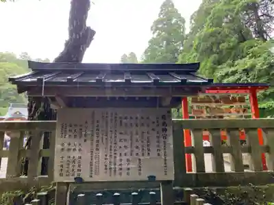 霧島神宮(鹿児島県)