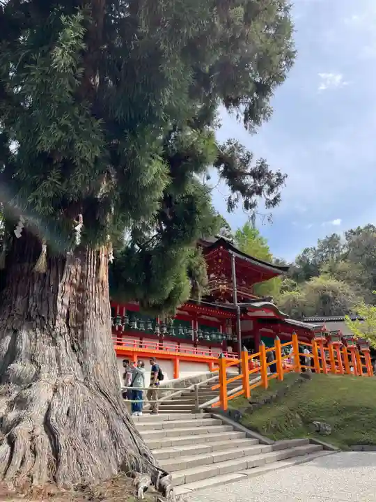 春日大社(奈良県)
