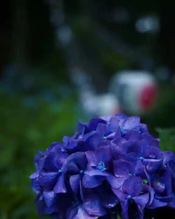 磯山神社(栃木県)