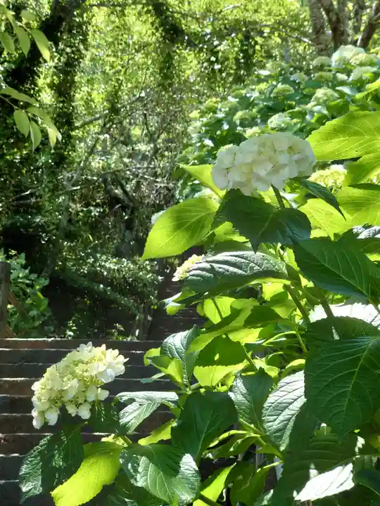 長谷寺(神奈川県)