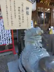 恩智神社(大阪府)