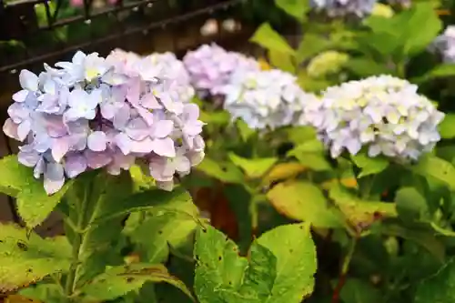 白山神社の自然