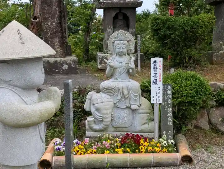 今山大師寺の{uncategorized: "未分類", other: "その他", undefined: "問題あり", building: "その他建物", grave: "お墓", sacred_gate: "鳥居", guardian: "狛犬", statue: "像", buddha: "仏像", history: "歴史", nature: "自然", garden: "庭園", animal: "動物", pagoda: "塔", temizu: "手水舎", mountain_gate: "山門・神門", sanctuary: "本殿・本堂", subordinate: "末社・摂社", art: "芸術", scenery: "景色", jizo: "地蔵", ema: "絵馬", goshuin: "御朱印", omikuji: "おみくじ", items: "授与品その他", amulet: "お守り", goshuincho: "御朱印帳", eats: "食事", festival: "お祭り", votive_dance: "神楽", shichigosan: "七五三参", wedding: "結婚式", experience: "体験その他", initially: "初詣", around: "周辺", anti_infection: "感染症対策"}