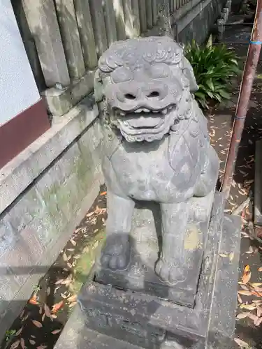 富岡八幡宮の狛犬