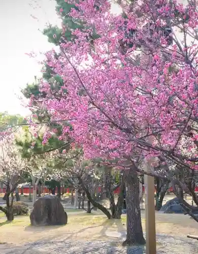 十日恵比須神社(福岡県)