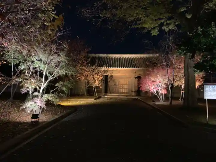東寺(教王護国寺)の景色