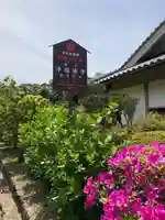 浄瑠璃寺(京都府)