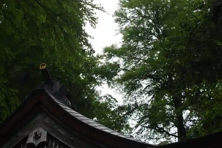 貴船神社(京都府)