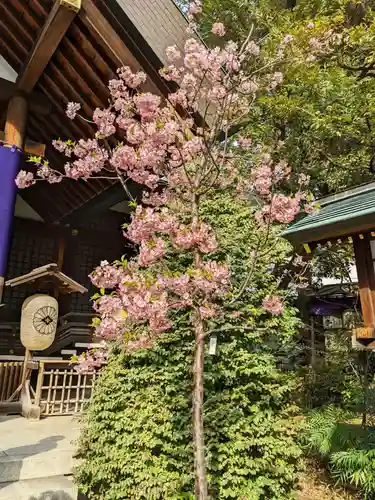 東京大神宮のその他建物