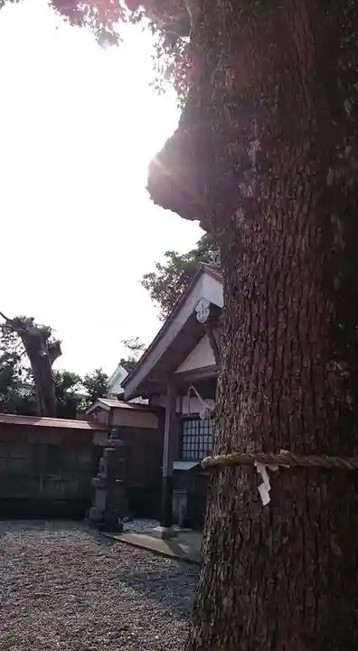 木本神社の本殿・本堂