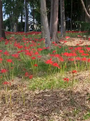 祖光院(千葉県)