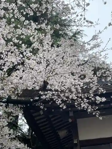 駒込天祖神社(東京都)
