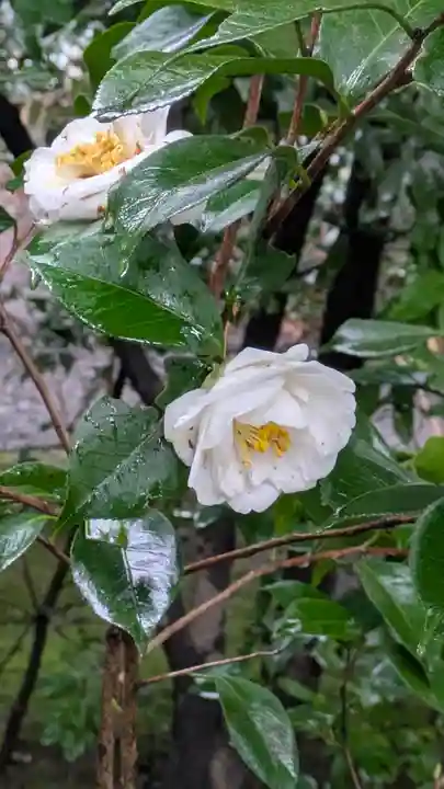 城南宮(京都府)