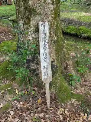 度津神社の{uncategorized: "未分類", other: "その他", undefined: "問題あり", building: "その他建物", grave: "お墓", sacred_gate: "鳥居", guardian: "狛犬", statue: "像", buddha: "仏像", history: "歴史", nature: "自然", garden: "庭園", animal: "動物", pagoda: "塔", temizu: "手水舎", mountain_gate: "山門・神門", sanctuary: "本殿・本堂", subordinate: "末社・摂社", art: "芸術", scenery: "景色", jizo: "地蔵", ema: "絵馬", goshuin: "御朱印", omikuji: "おみくじ", items: "授与品その他", amulet: "お守り", goshuincho: "御朱印帳", eats: "食事", festival: "お祭り", votive_dance: "神楽", shichigosan: "七五三参", wedding: "結婚式", experience: "体験その他", initially: "初詣", around: "周辺", anti_infection: "感染症対策"}