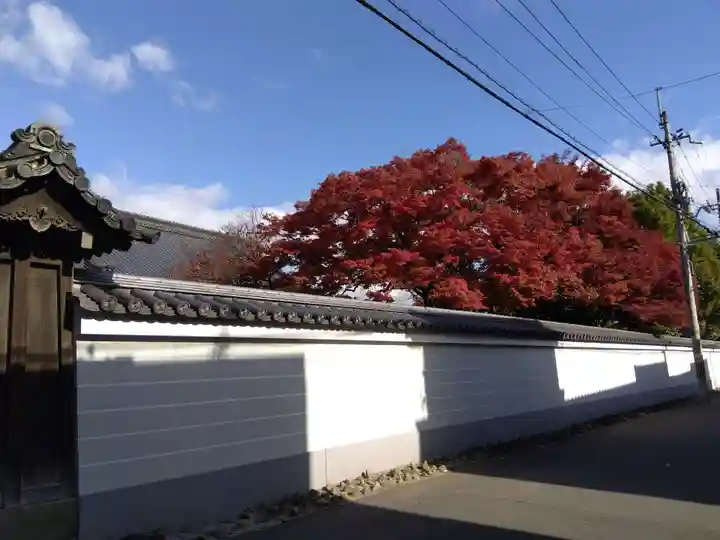 宝鏡寺(京都府)