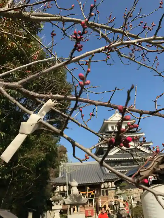 奥平神社(大分県)