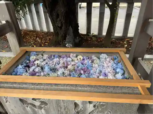 伊勢原大神宮(神奈川県)