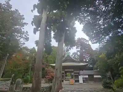 小椋神社(滋賀県)