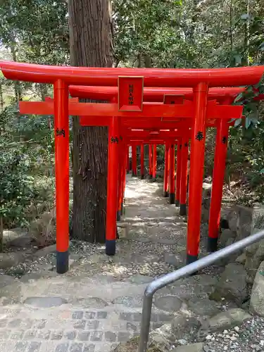 白笹稲荷神社の鳥居