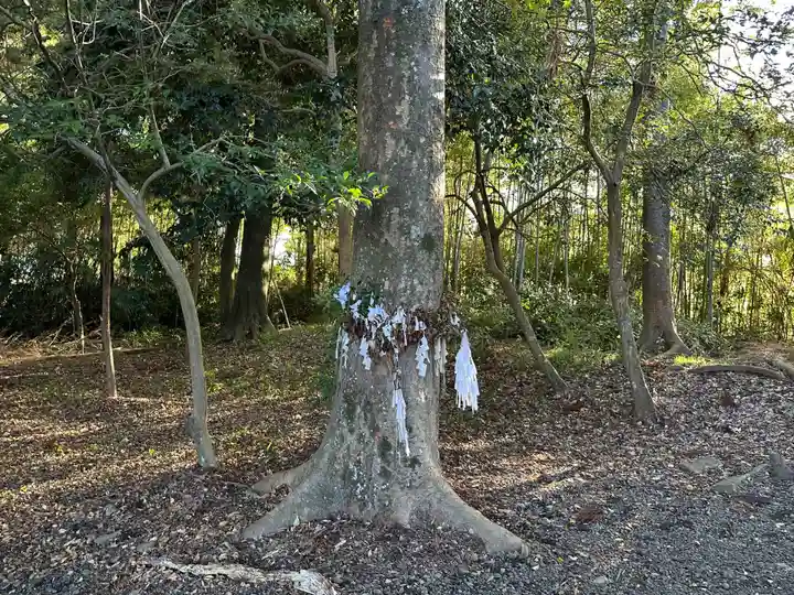 乃伎多神社(高月町東阿閉)(滋賀県)