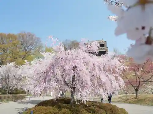 眞田神社の自然