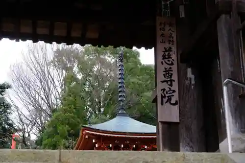慈尊院(和歌山県)