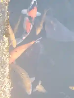 涌釜神社(栃木県)