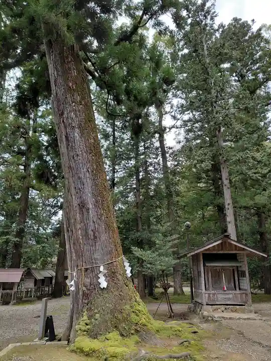 元伊勢内宮 皇大神社(京都府)