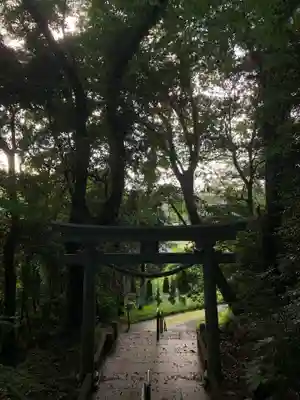 白幡神社の鳥居